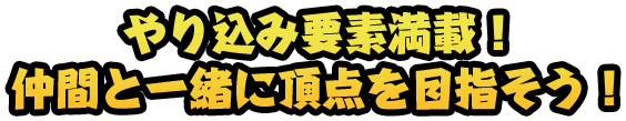 やり込み要素満載！ 仲間と一緒に頂点を目指そう！