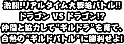 ドラゴンエッグ モンスターを相棒に旅する 共闘rpg ドラゴンエッグ 株式会社ルーデル