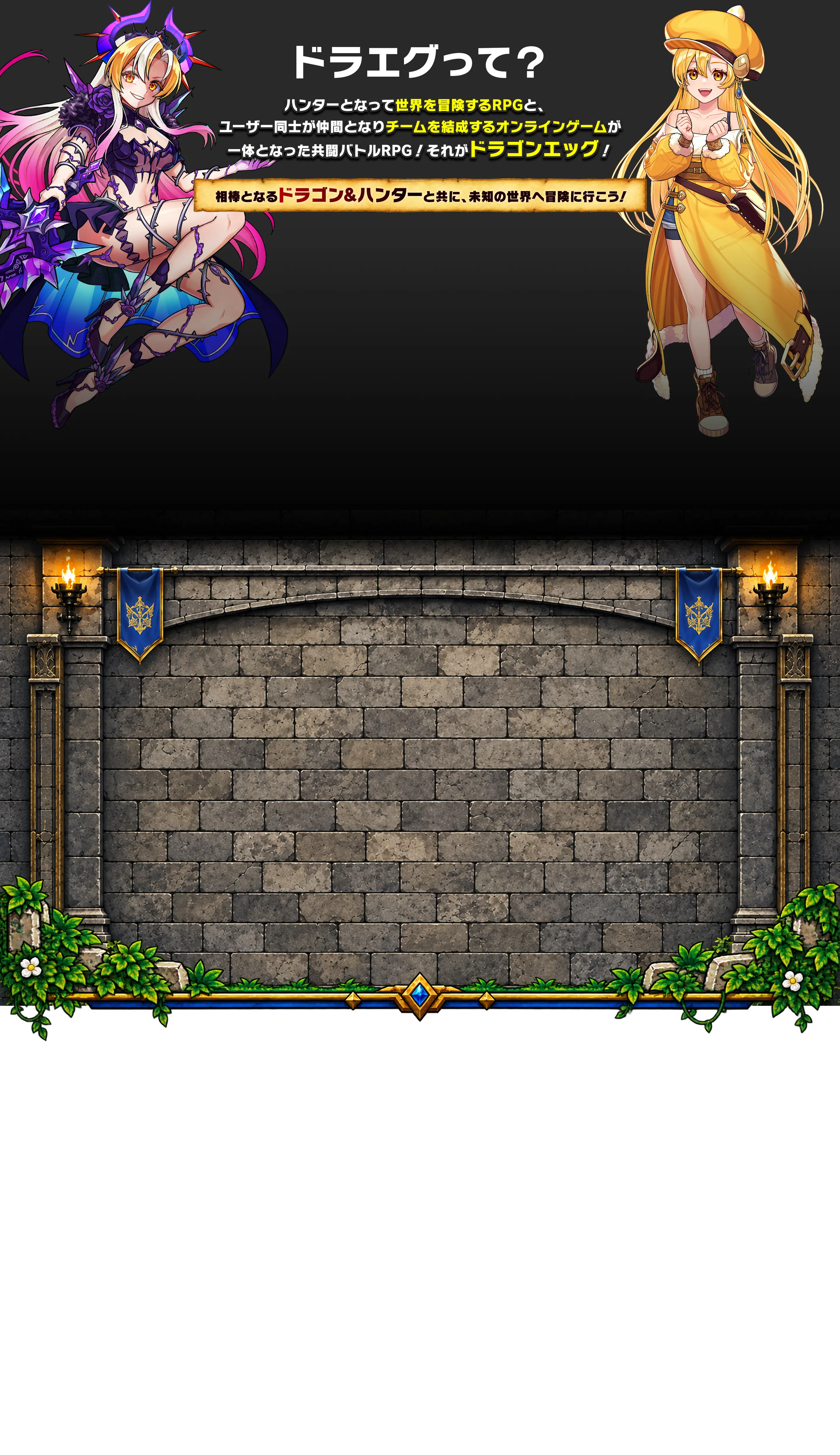 ドラエグって？