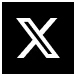 公式X